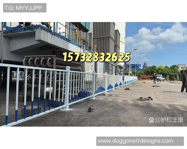 交通护栏在城市交通安全中的作用与设计优化研究