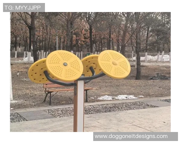 郑州健身器材回收服务与市场分析：郑州健身器材回收市场的现状与前景