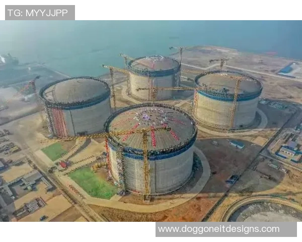 全球挑战赛评析LNG在耐力赛中的卓越表现与未来展望