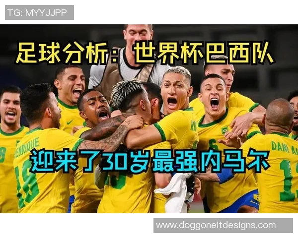 南京羽毛球队在世界杯预选赛中的战术分析与表现评估
