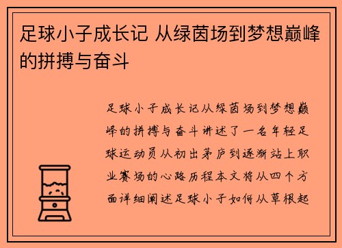 足球小子成长记 从绿茵场到梦想巅峰的拼搏与奋斗