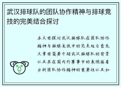 武汉排球队的团队协作精神与排球竞技的完美结合探讨